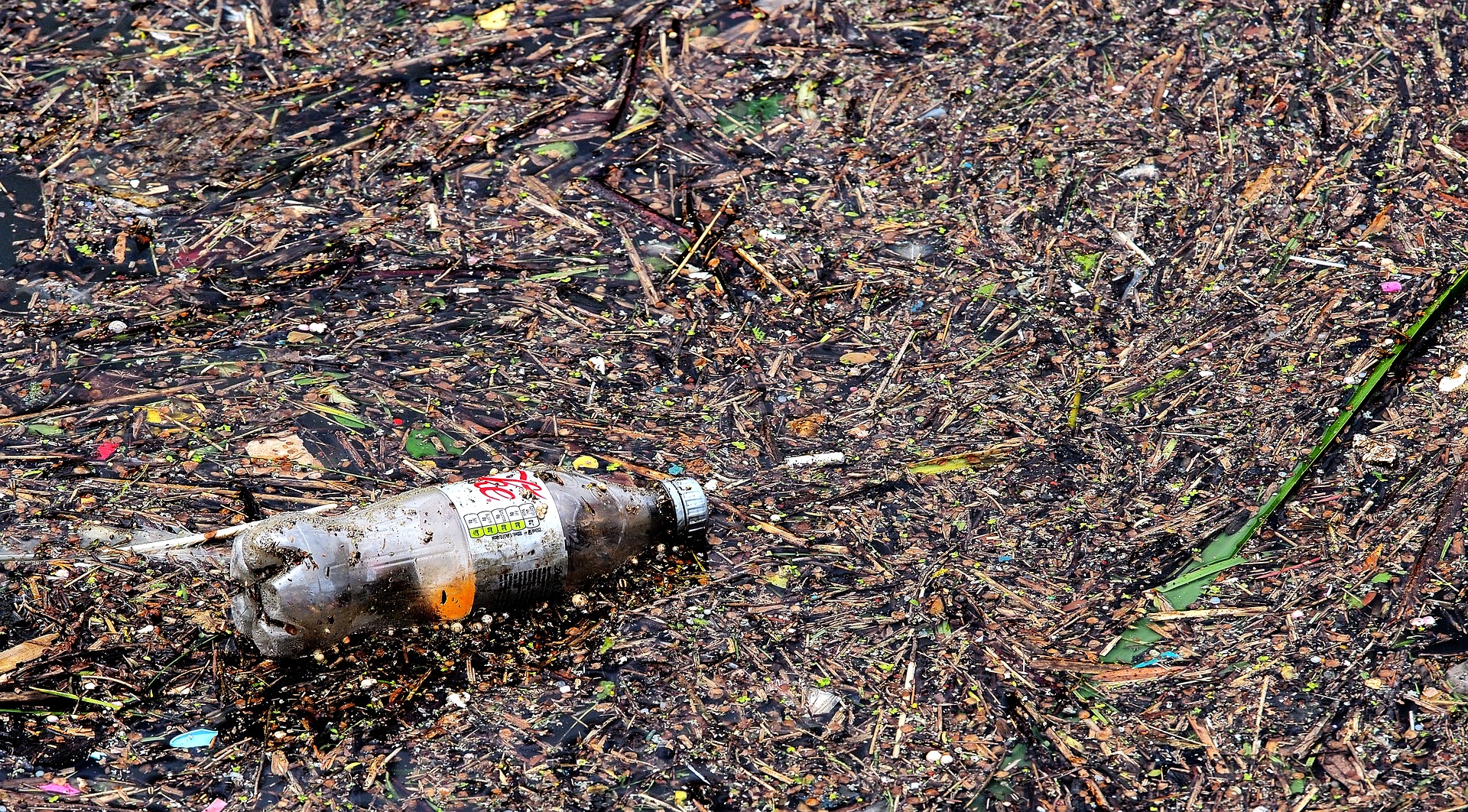 marine-litter-marine-information-system-for-europe